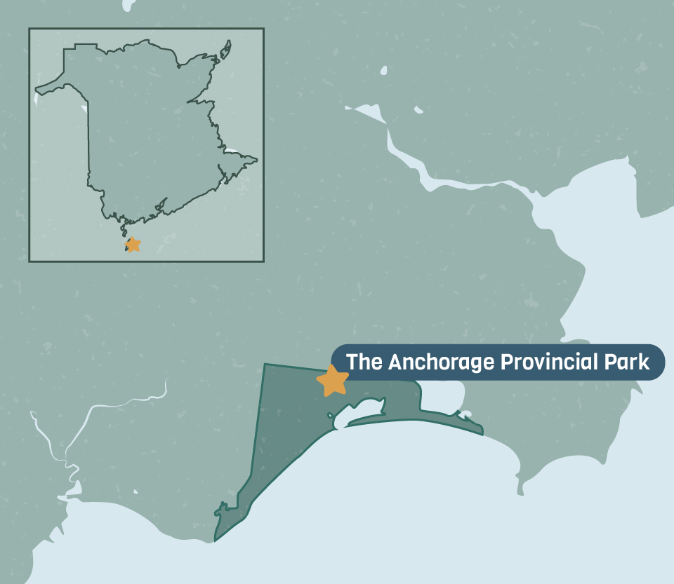 The anchorage provincial park